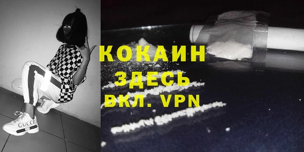 индика Алексин