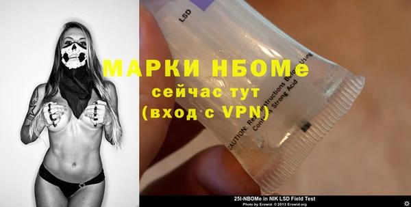 индика Алексин