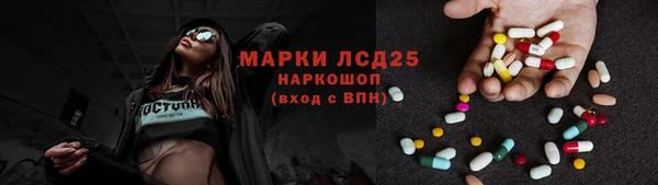 индика Алексин