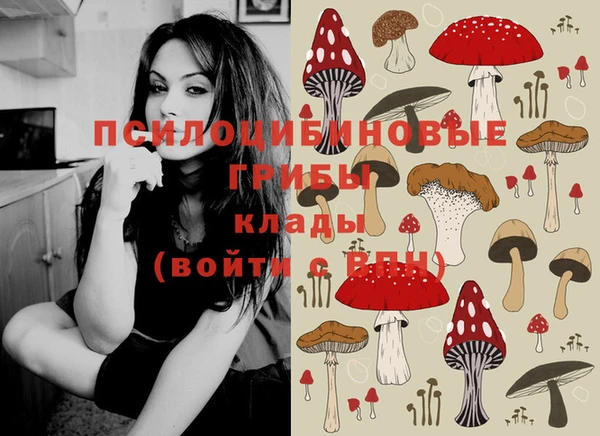 индика Алексин