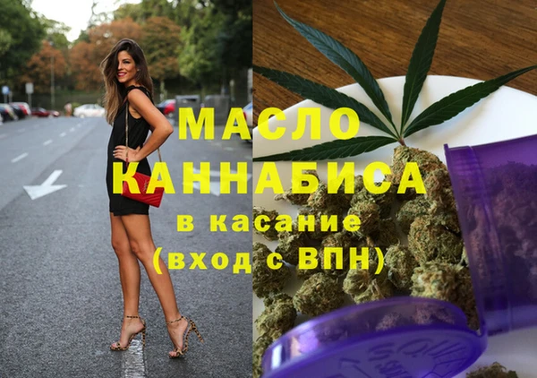 индика Алексин