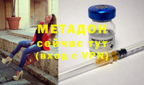 индика Алексин