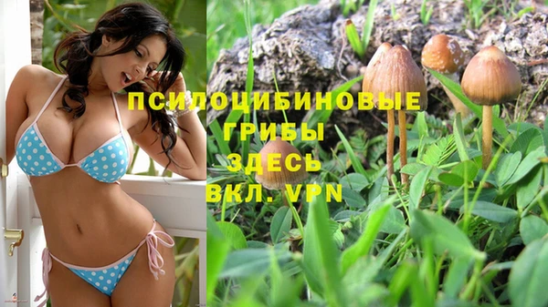 jwh Алексеевка