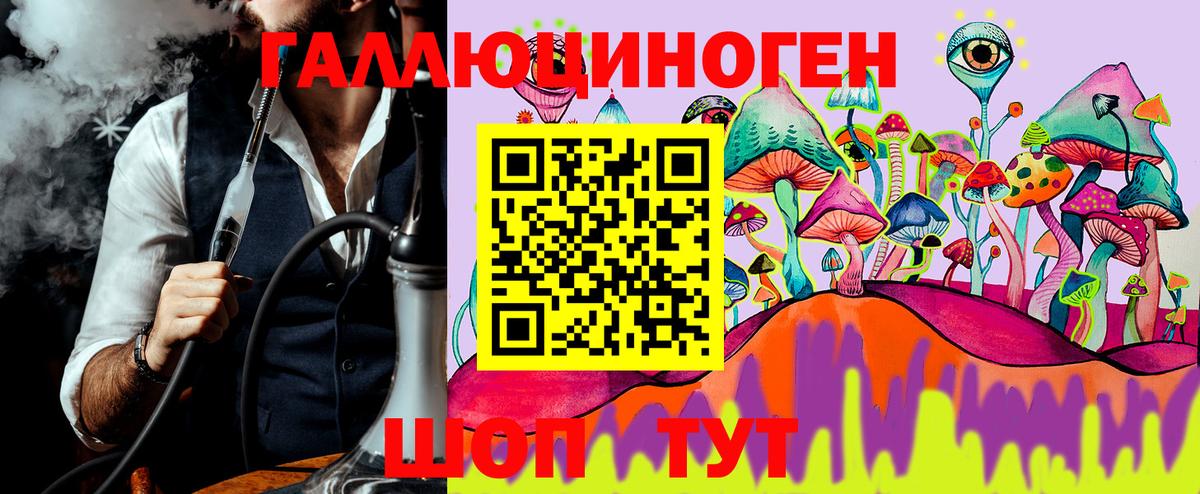 Гурьевск  Псилоцибиновые грибы прущие грибы  Вход с VPN 